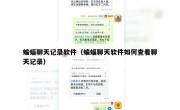 蝙蝠聊天记录软件（蝙蝠聊天软件如何查看聊天记录）
