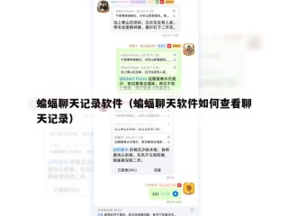 蝙蝠聊天记录软件（蝙蝠聊天软件如何查看聊天记录）