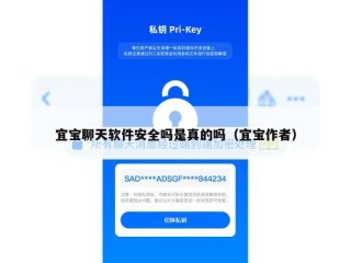 宜宝聊天软件安全吗是真的吗（宜宝作者）