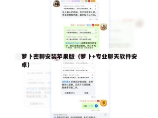 萝卜密聊安装苹果版（萝卜+专业聊天软件安卓）