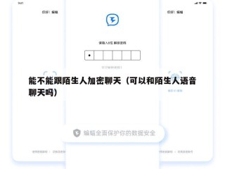 能不能跟陌生人加密聊天（可以和陌生人语音聊天吗）