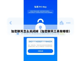 加密聊天怎么关闭掉（加密聊天工具有哪些）