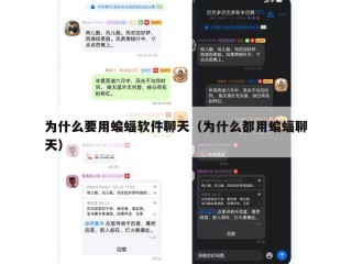 为什么要用蝙蝠软件聊天（为什么都用蝙蝠聊天）