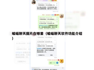 蝙蝠聊天图片在哪里（蝙蝠聊天软件功能介绍）