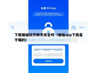 下载蝙蝠软件聊天安全吗（蝙蝠app下载是干嘛的）
