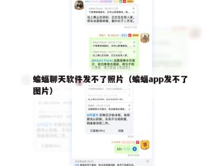 蝙蝠聊天软件发不了照片（蝙蝠app发不了图片）