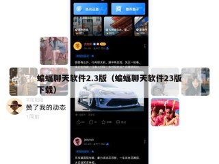 蝙蝠聊天软件2.3版（蝙蝠聊天软件23版下载）
