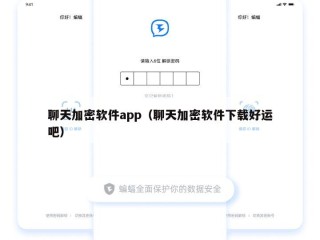聊天加密软件app（聊天加密软件下载好运吧）
