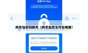 网页加密码聊天（网页加密文件在哪里）