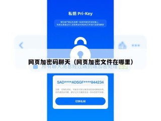 网页加密码聊天（网页加密文件在哪里）