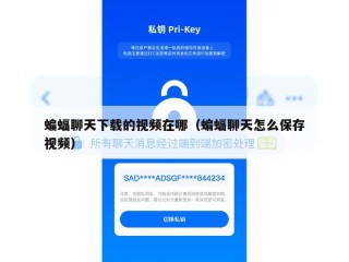 蝙蝠聊天下载的视频在哪（蝙蝠聊天怎么保存视频）
