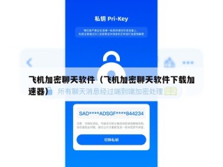 飞机加密聊天软件（飞机加密聊天软件下载加速器）