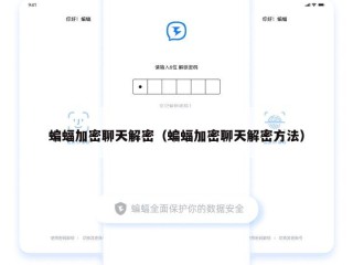 蝙蝠加密聊天解密（蝙蝠加密聊天解密方法）