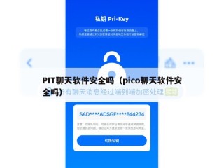 PIT聊天软件安全吗（pico聊天软件安全吗）