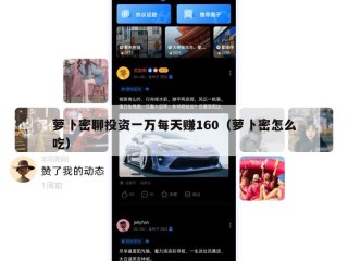 萝卜密聊投资一万每天赚160（萝卜密怎么吃）