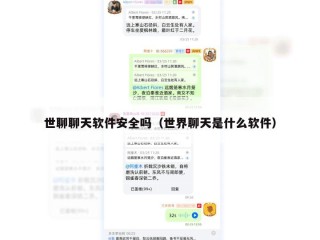 世聊聊天软件安全吗（世界聊天是什么软件）