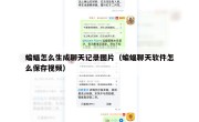 蝙蝠怎么生成聊天记录图片（蝙蝠聊天软件怎么保存视频）