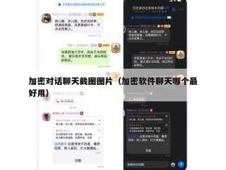 加密对话聊天截图图片（加密软件聊天哪个最好用）