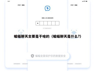 蝙蝠聊天主要是干啥的（蝙蝠聊天是什么?）