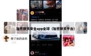 加密聊天安全app全球（加密聊天平台）