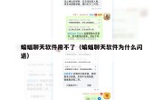 蝙蝠聊天软件用不了（蝙蝠聊天软件为什么闪退）