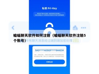 蝙蝠聊天软件如何注销（蝙蝠聊天软件注销5个账号）