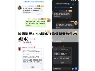 蝙蝠聊天2.5.3版本（蝙蝠聊天软件253版本）