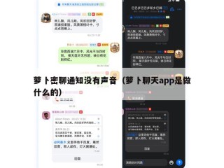 萝卜密聊通知没有声音（萝卜聊天app是做什么的）