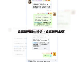 蝙蝠聊天网约暗语（蝙蝠聊天术语）