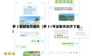 萝卜密聊软件图片（萝卜+专业聊天软件下载）