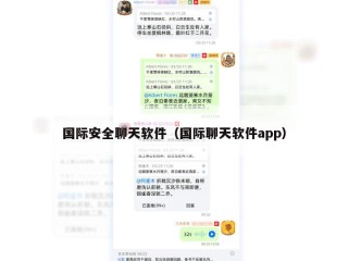 国际安全聊天软件（国际聊天软件app）