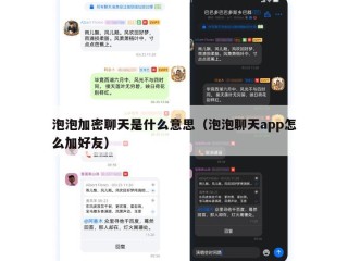 泡泡加密聊天是什么意思（泡泡聊天app怎么加好友）