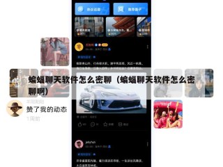 蝙蝠聊天软件怎么密聊（蝙蝠聊天软件怎么密聊啊）