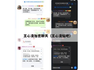 王心凌加密聊天（王心凌贴吧）