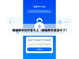 蝙蝠聊天软件登不上（蝙蝠聊天登录不了）