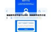 蝙蝠聊天软件是什么样的（蝙蝠聊天软件介绍）