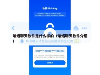 蝙蝠聊天软件是什么样的（蝙蝠聊天软件介绍）