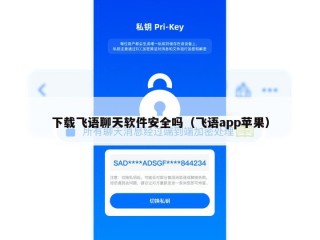 下载飞语聊天软件安全吗（飞语app苹果）