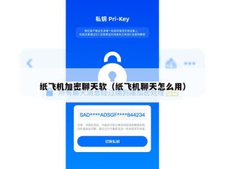 纸飞机加密聊天软（纸飞机聊天怎么用）