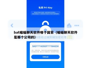 bat蝙蝠聊天软件哪个国家（蝙蝠聊天软件是那个公司的）