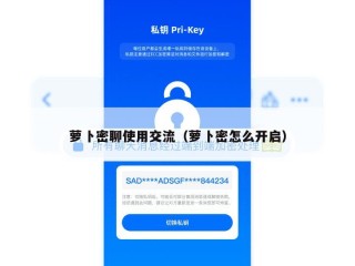 萝卜密聊使用交流（萝卜密怎么开启）