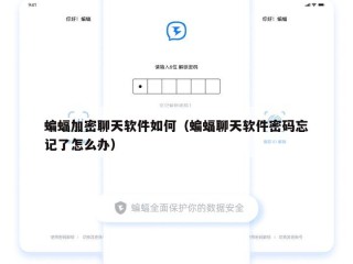 蝙蝠加密聊天软件如何（蝙蝠聊天软件密码忘记了怎么办）
