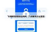 飞书聊天转账安全吗吗（飞书聊天什么意思）