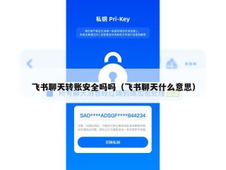飞书聊天转账安全吗吗（飞书聊天什么意思）