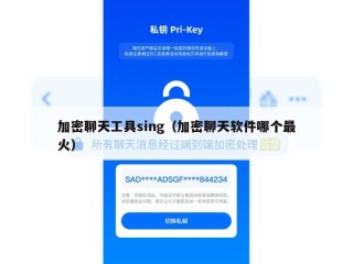 加密聊天工具sing（加密聊天软件哪个最火）