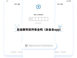 白金聊天软件安全吗（白金会app）