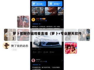 萝卜密聊诈骗观看直播（萝卜+专业聊天软件）