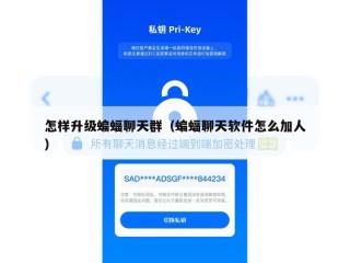 怎样升级蝙蝠聊天群（蝙蝠聊天软件怎么加人）