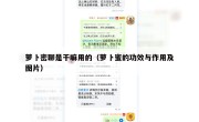萝卜密聊是干嘛用的（萝卜蜜的功效与作用及图片）