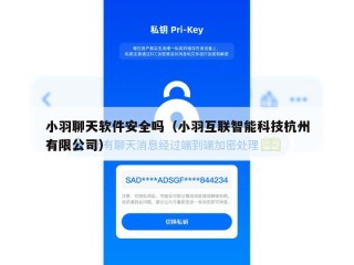 小羽聊天软件安全吗（小羽互联智能科技杭州有限公司）